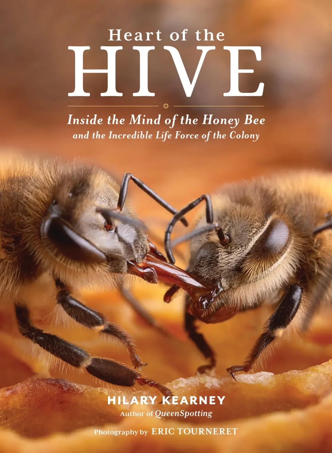 Unlocking the Hive Mind: Insights from Hilary Kearney and her book Heart of the Hive