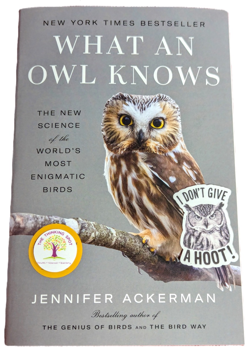 What an Owl Knows: A Journey into the Enigmatic World of Owls